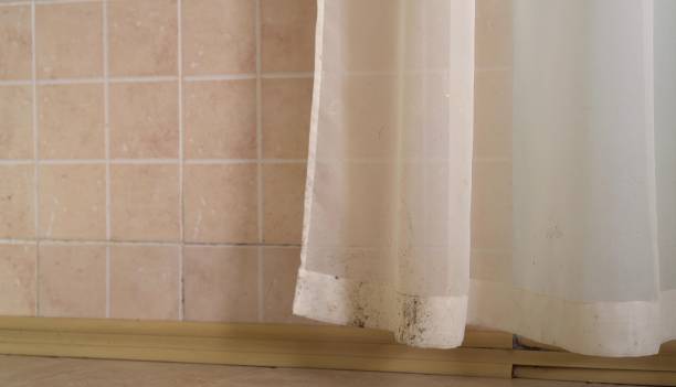 Best Mold Remediation for Healthcare Facilities  in Hutchison, VA